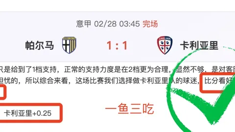 流浪者逆风翻盘，费内巴切点球惜败出局